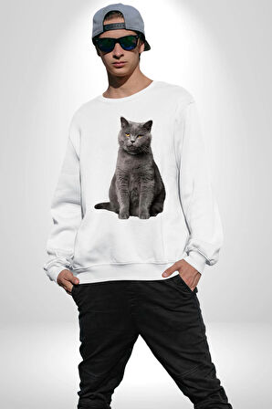 British Shorthair Kedi  Kadın Erkek Beyaz Sweatshirt 