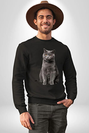 British Shorthair Kedi  Kadın Erkek Siyah Sweatshirt 