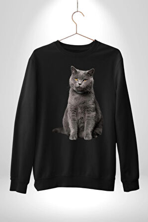 British Shorthair Kedi  Kadın Erkek Siyah Sweatshirt 