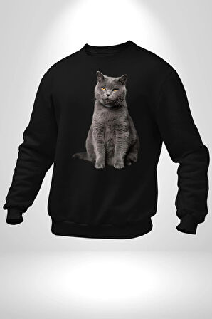 British Shorthair Kedi  Kadın Erkek Siyah Sweatshirt 