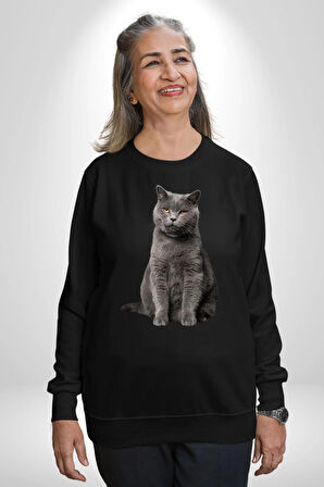 British Shorthair Kedi  Kadın Erkek Siyah Sweatshirt 
