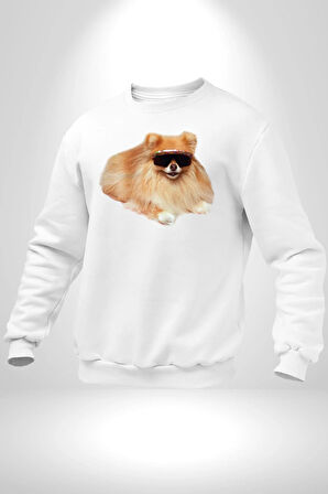 Pomernian Köpek Kadın Erkek Beyaz Sweatshirt 