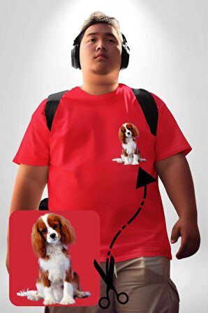 Cavalier King Charles Spaniel Kırmızı Büyük Beden Kadın Basic Minimal Baskılı Tişört