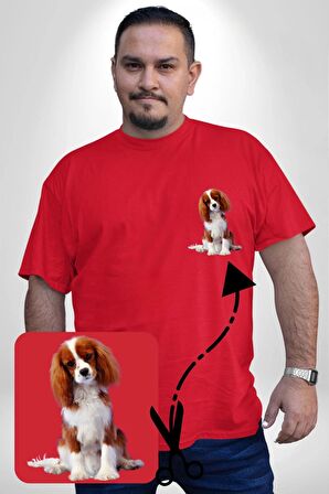Cavalier King Charles Spaniel Kırmızı Büyük Beden Kadın Basic Minimal Baskılı Tişört