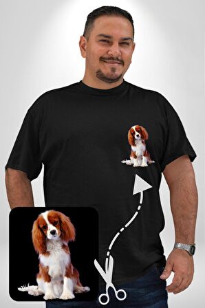 Cavalier King Charles Spaniel Siyah Büyük Beden Kadın Basic Minimal Baskılı Tişört