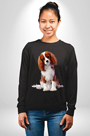 Cavalier King Charles Spaniel Kadın Erkek Siyah Sweatshirt 