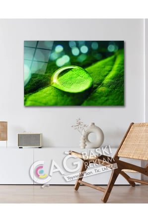 Su Damlası Doğa Göz Alıcı Estetik Cam Tablo Modern Ev Ofis Salon Oda Duvar Dekoru Hediyelik