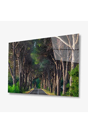 Manzara Doğa Cam Tablo 4mm Dayanıklı Temperli Cam