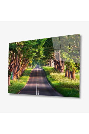 Doğa Cam Tablo 4mm Dayanıklı Temperli Cam