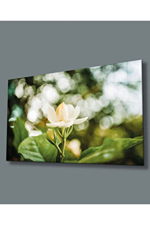 Çiçek Cam Tablo 4mm Dayanıklı Temperli Cam White flower Glass Wall Art