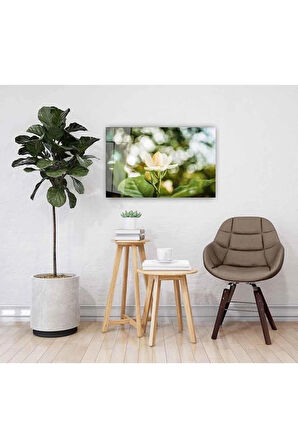 Çiçek Cam Tablo 4mm Dayanıklı Temperli Cam White flower Glass Wall Art
