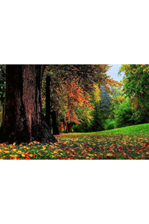 Doğa Cam Tablo 4mm Dayanıklı Temperli Cam