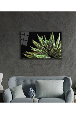 Siyah Arka Fon Aleovera Çiçek 4mm Dayanıklı Cam Tablo Temperli Cam, Black Background Aloe Vera Flowe
