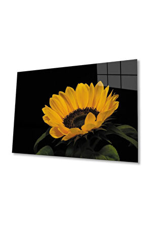 Ay Çiçeği Günebakan 4mm Dayanıklı Cam Tablo Temperli Cam , Sunflower Glass Wall Art