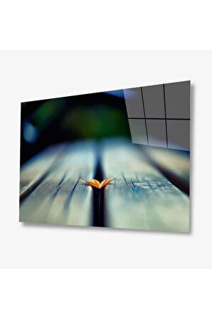 Doğa Cam Tablo 4mm Dayanıklı Temperli Cam