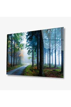 Doğa Cam Tablo 4mm Dayanıklı Temperli Cam