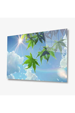 Doğa Cam Tablo 4mm Dayanıklı Temperli Cam