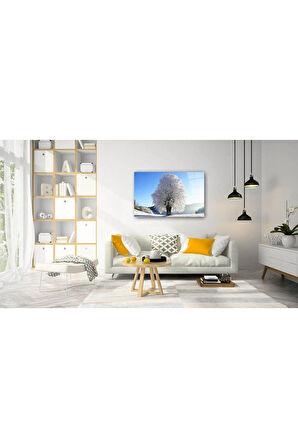 Doğa Cam Tablo 4mm Dayanıklı Temperli Cam