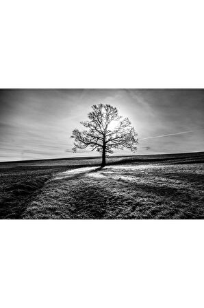 Doğa Cam Tablo 4mm Dayanıklı Temperli Cam