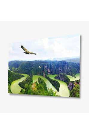 Doğa Cam Tablo 4mm Dayanıklı Temperli Cam