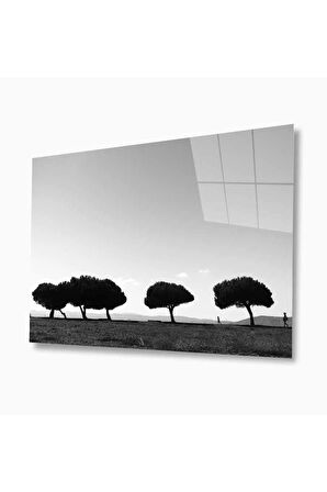 Doğa Cam Tablo 4mm Dayanıklı Temperli Cam