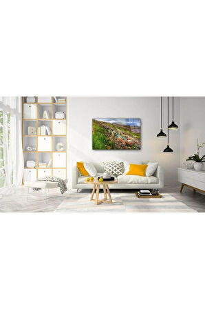 Doğa Cam Tablo 4mm Dayanıklı Temperli Cam