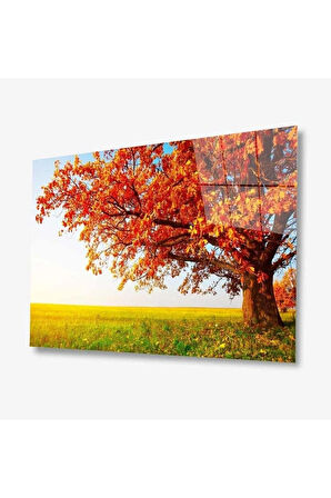 Doğa Cam Tablo 4mm Dayanıklı Temperli Cam