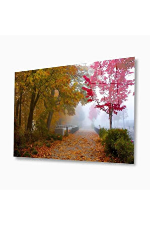 Doğa Cam Tablo 4mm Dayanıklı Temperli Cam