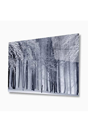 Doğa Cam Tablo 4mm Dayanıklı Temperli Cam