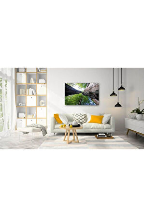 Doğa Cam Tablo 4mm Dayanıklı Temperli Cam