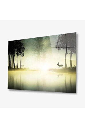 Doğa Cam Tablo 4mm Dayanıklı Temperli Cam