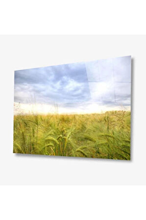 Doğa Cam Tablo 4mm Dayanıklı Temperli Cam