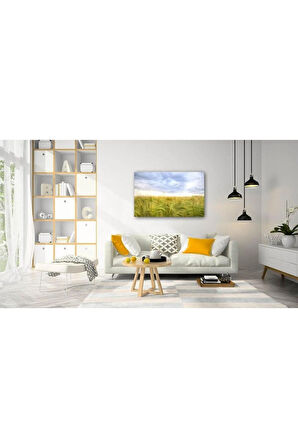 Doğa Cam Tablo 4mm Dayanıklı Temperli Cam