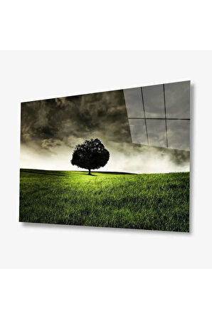 Doğa Cam Tablo 4mm Dayanıklı Temperli Cam