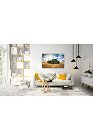 Doğa Cam Tablo 4mm Dayanıklı Temperli Cam