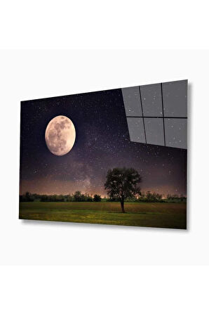 Doğa Cam Tablo 4mm Dayanıklı Temperli Cam