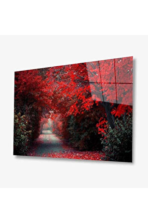 Doğa Cam Tablo 4mm Dayanıklı Temperli Cam