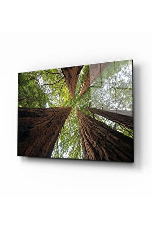 Doğa Temperli Cam Tablo