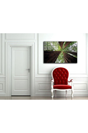 Doğa Temperli Cam Tablo