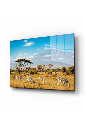 Doğa Temperli Cam Tablo