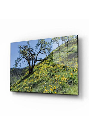 Doğa Temperli Cam Tablo