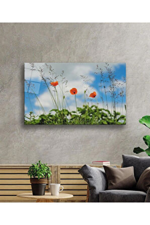Gelincik Çiçeği Cam Tablo 4mm Dayanıklı Temperli Cam Poppy Flower Glass Wall Art
