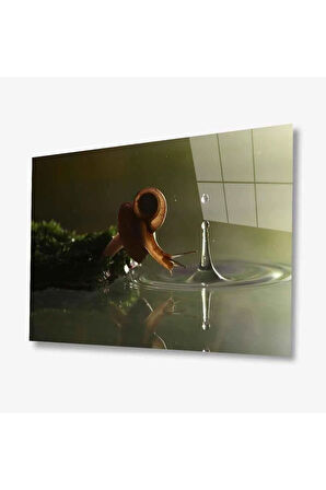 Cam Tablo 4mm Dayanıklı Temperli Cam