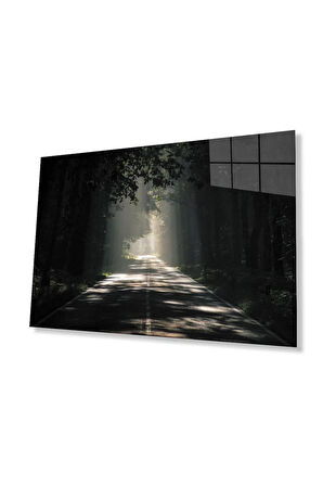 Ağaçlı Yol Cam Tablo 4mm Dayanıklı Temperli Cam Parkway Glass Wall Art