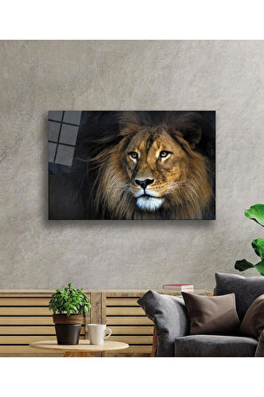 Aslan Cam Tablo 4mm Dayanıklı Temperli Cam