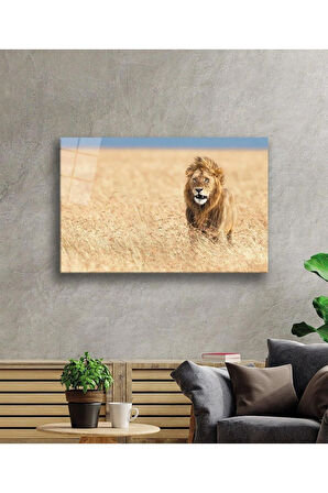 Aslan Cam Tablo 4mm Dayanıklı Temperli Cam