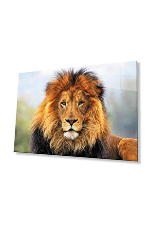 Aslan Cam Tablo 4mm Dayanıklı Temperli Cam