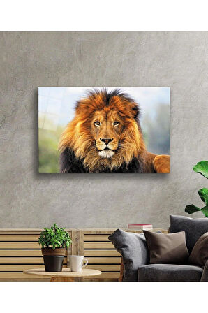 Aslan Cam Tablo 4mm Dayanıklı Temperli Cam