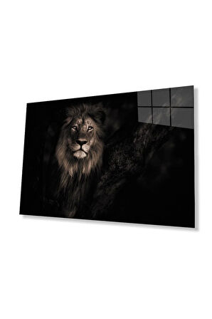 Aslan Cam Tablo 4mm Dayanıklı Temperli Cam