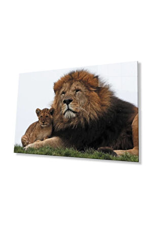 Aslan Cam Tablo 4mm Dayanıklı Temperli Cam